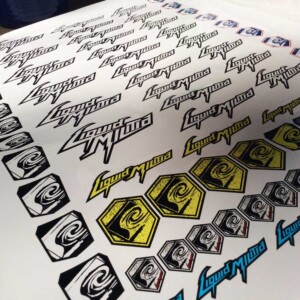 Digital printed color stickers. Digital printed color stickers